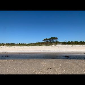 Meet your Posher, Jamison